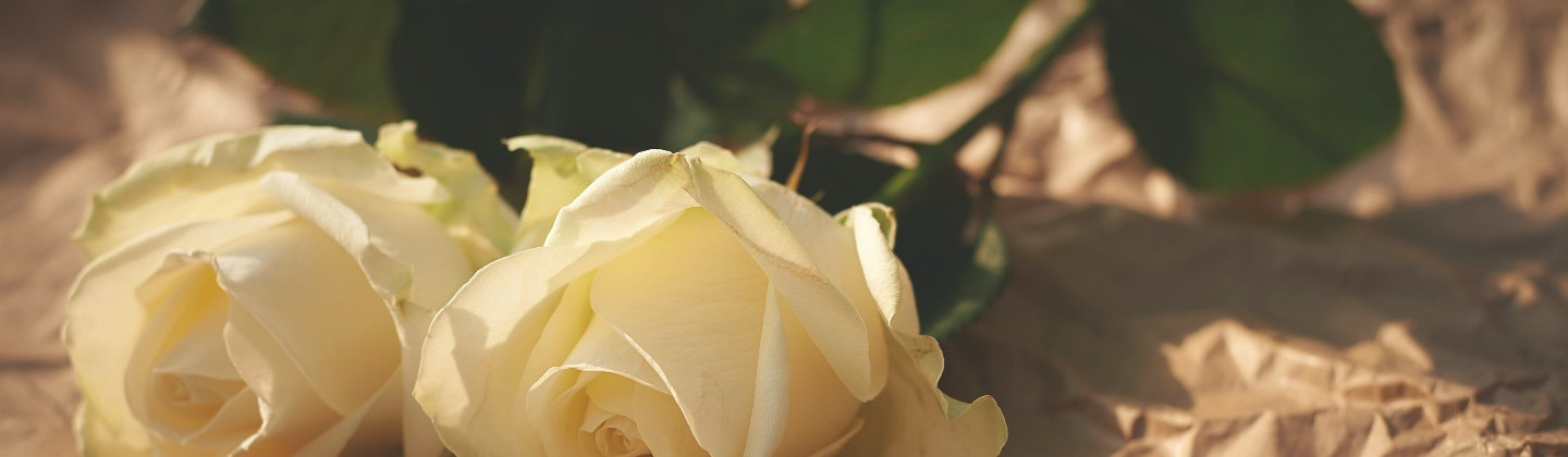 header photo